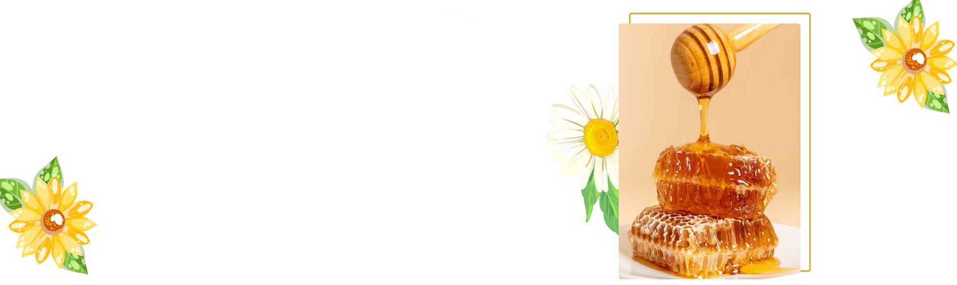Offer Banner